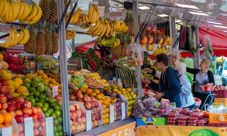 Crescimento Recorde: Paraná Cria Mais de 143 Mil Novas Empresas em 2025