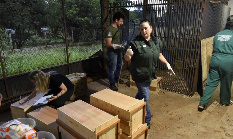 CRIME AMBIENTAL: Novo canal do IAT registra mais de 2,8 mil denúncias em apenas 4 meses no Paraná