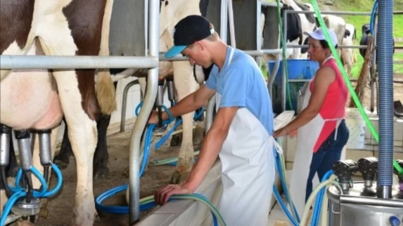 CRISE DO LEITE SE AGRAVA NO PARANÁ E PREÇO PAGO AO PRODUTOR NÃO COBRE CUSTO DE PRODUÇÃO, ALERTA FAEP