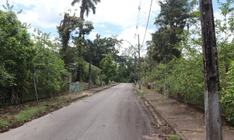 Curiosidade: Conheça a 