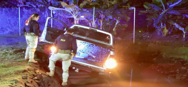 DESCAMINHO: PRF apreende quase uma tonelada de maconha, recupera caminhonete roubada e prende homem no Paraná.