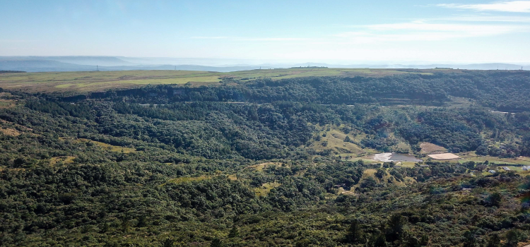 DESENVOLVIMENTO SUSTENTÁVEL: Para não perder o ICMS Ecológico, municípios têm de cadastrar áreas de conservação até 15 de março.