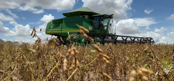 ECONOMIA: 4 pontos para entender o resultado do PIB do Brasil no 1º trimestre.