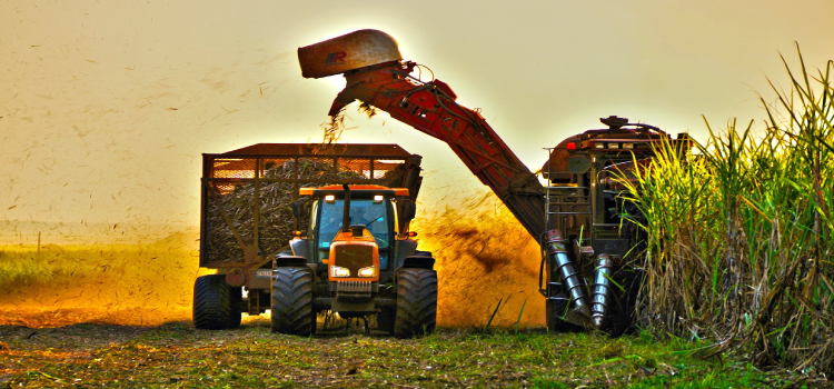 ECONOMIA: Aluguel de máquina agrícola: opção para quem quer economizar.