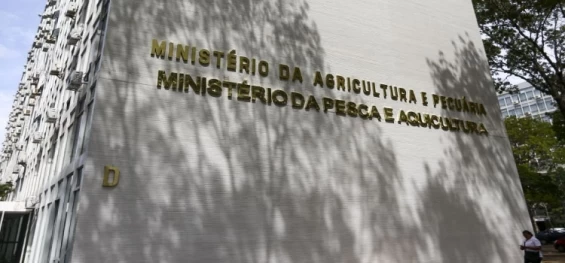 ECONOMIA:  Governo orienta estados a declararem emergência zoossanitária.