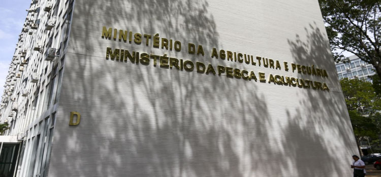 ECONOMIA:  Governo orienta estados a declararem emergência zoossanitária.
