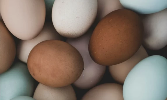 Economia: Preços dos ovos apresentam forte alta no início de 2026, mas seguem mais baratos que no ano passado