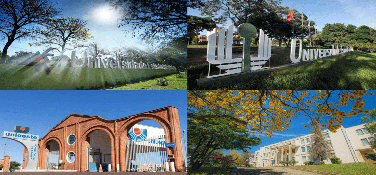 EDUCAÇÃO: Universidades estaduais do Paraná estão entre as melhores do mundo em áreas do conhecimento.