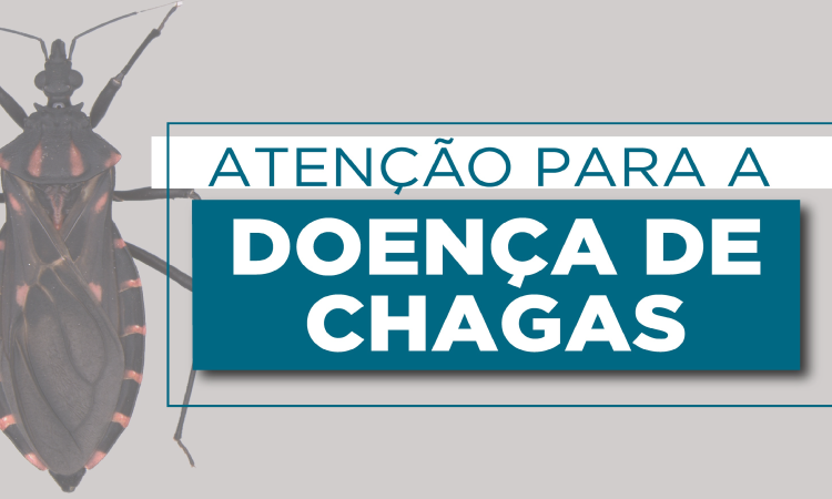 Estado divulga cartilha sobre prevenção e tratamento da Doença de Chagas.