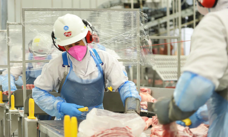 Exportações de carne suína, frangos e automóveis do Paraná saltam mais de 20% em 2025