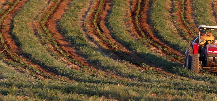 FERTILIZANTES: Importações somam 2,104 mi t em fevereiro.