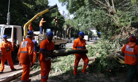 Forte Ventania Causa Caos em São Paulo: 1,5 Milhão de Clientes Ficam Sem Energia e Cidade Enfrenta Congestionamentos