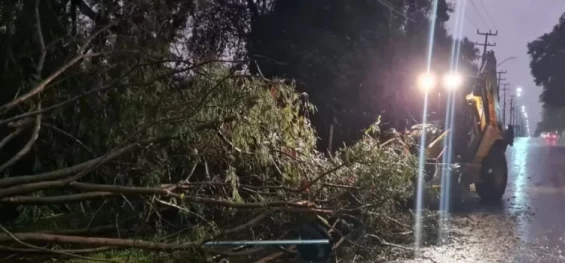 FOZ DO IGUAÇU: Equipes trabalham nos reparos de danos após temporal.