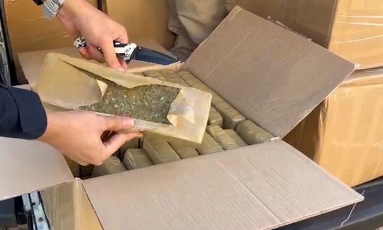 GRANDE APREENSÃO: Casal é Preso com Mais de 770 kg de Maconha em Céu Azul