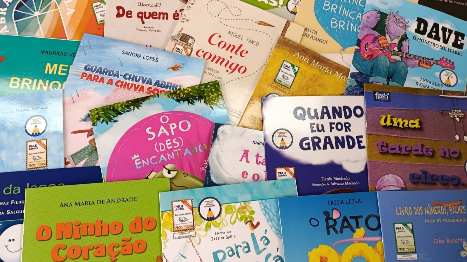 GUARANIAÇU: Biblioteca Pública de Guaraniaçu recebe novos livros infantis