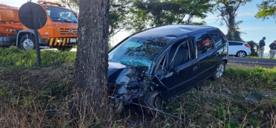 GUARANIAÇU: Condutor perde o controle e colide contra árvore no KM 526 da BR 277.