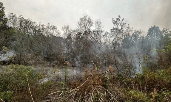 GUARANIAÇU: Defesa Civil controla incêndio em Vegetação.