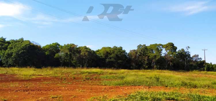GUARANIAÇU: Dia abafado com temperatura máxima chegando aos 33ºc para hoje