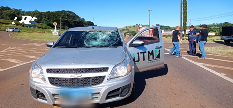 GUARANIAÇU: Jovem é atropelada ao tentar cruzar a rodovia BR 277, Km 519, trevo saída para Laranjeiras do Sul.