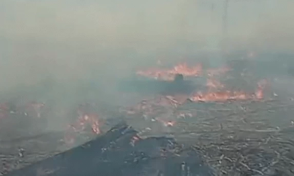 GUARANIAÇU: Oito focos de incêndio são combatidos pela Defesa Civil neste domingo.