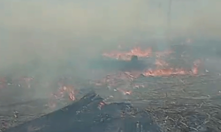 GUARANIAÇU: Oito focos de incêndio são combatidos pela Defesa Civil neste domingo.