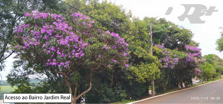 GUARANIAÇU: Previsão de 27ºC e 5,9 mm de chuva no período da tarde