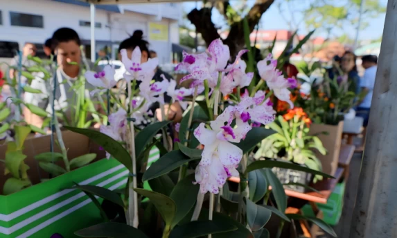 3ª Feira da Agroindústria movimenta a manhã de sábado em Guaraniaçu