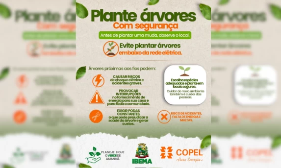 IBEMA: Prefeitura orienta sobre o plantio seguro de árvores próximo à rede elétrica