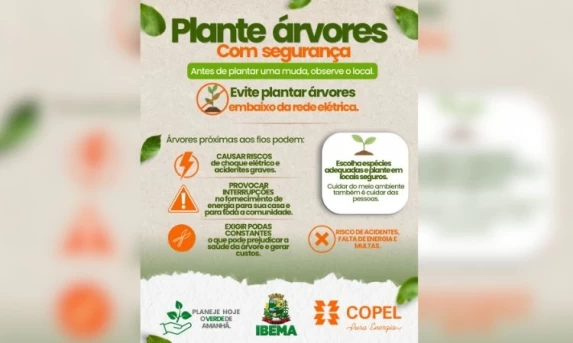 BC informa que teto para rotativo vale a partir desta quarta-feira