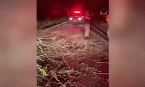 Indígenas obstruem rodovia e roubam carga de caminhão em Nova Laranjeiras