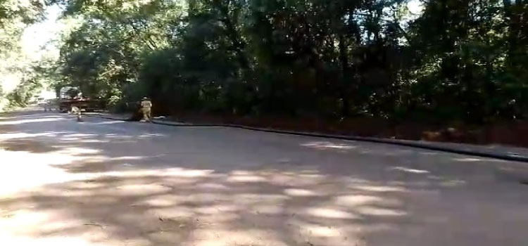 INFRAESTRUTURA: Retomadas as obras de recapeamento asfáltico na PR-471, entre Catanduvas e Três Barras do Paraná.