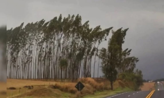 INMET emite alerta de vendaval para Guaraniaçu e outras 139 cidades do Paraná
