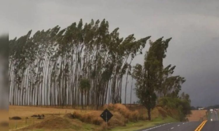 INMET emite alerta de vendaval para Guaraniaçu e outras 139 cidades do Paraná