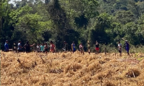 Invasão de propriedade em Terra Roxa mobiliza forças de segurança e Sistema FAEP no Oeste do Paraná