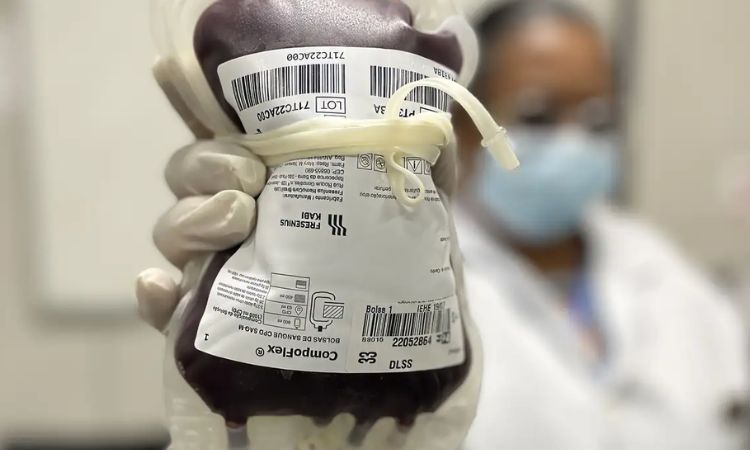 Junho Vermelho é criado por lei para incentivar doação de sangue em todo o Brasil