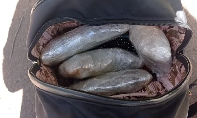 LARANJEIRAS DO SUL: PRF apreende 800g de maconha em veículo.