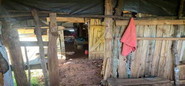 LARANJEIRAS: Homem é assassinado com golpes de facão no rosto.