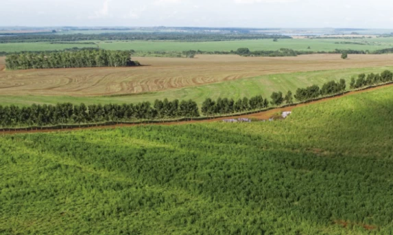Laudos técnicos apontam divergências no Valor da Terra Nua em municípios do Paraná.