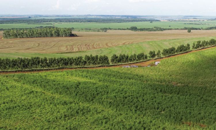 Laudos técnicos apontam divergências no Valor da Terra Nua em municípios do Paraná.