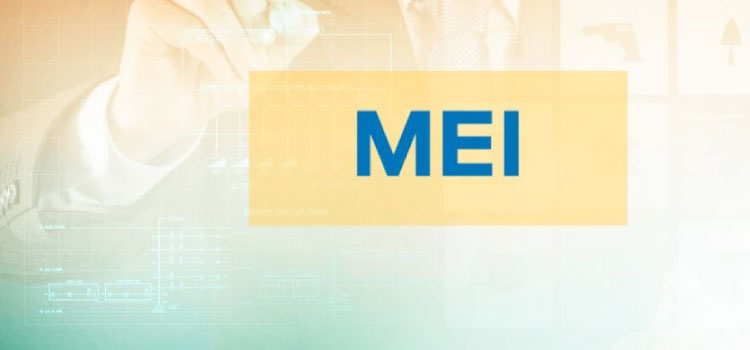 MEI pode renegociar dívidas com a União.