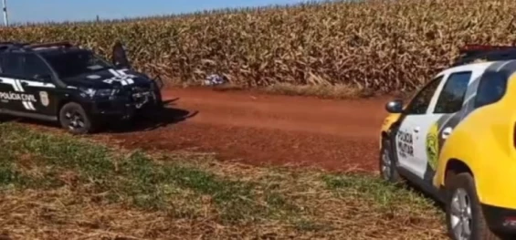 Morador de Toledo encontrado em milharal foi vítima de latrocínio, diz Polícia Civil.