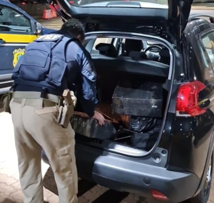 Mulher tenta fugir da PRF no Paraná, mas é presa com maconha.