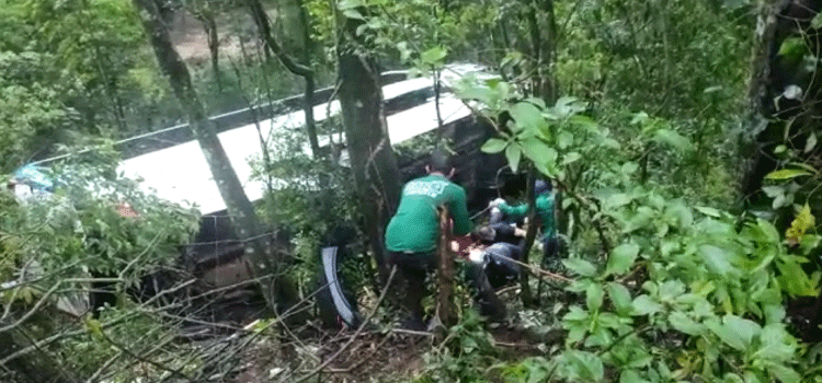 NOVA LARANJEIRAS: Acidente entre Ônibus e Caminhão no KM 464 da BR 277 deixa pelo menos 07 feridos.