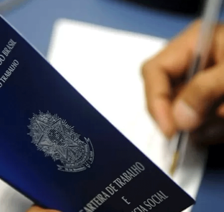 OCUPAÇÃO: Desemprego cai em 22 estados no 2º tri; taxa é maior para mulheres e negros.