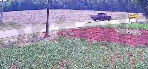 PARANÁ: Câmera de segurança flagra momento em que homem se joga na frente de caminhonete na PR-495; vítima fica em estado grave.