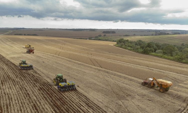 PARANÁ FECHA 2025 COM PARTICIPAÇÃO RECORDE NA SAFRA NACIONAL E PREVÊ NOVO SALTO EM 2026