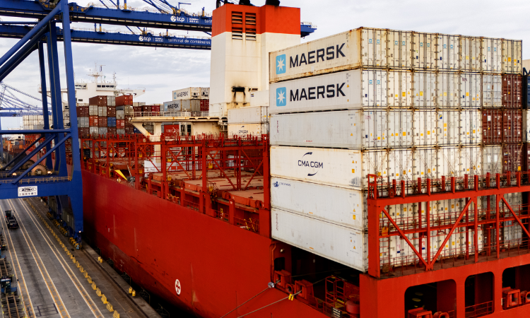 PARANÁ LIDERA EXPORTAÇÕES NACIONAIS EM DIVERSOS SEGMENTOS