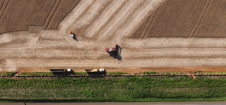 PARANÁ: Paraná ultrapassa Rio Grande do Sul e vira quarta maior economia do Brasil.