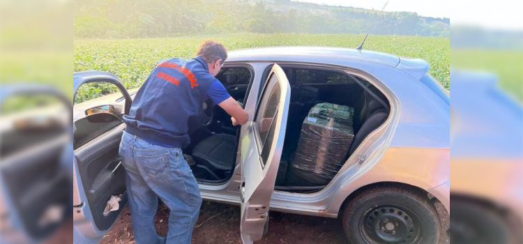 PARANÁ: Receita Federal e Polícia Federal deflagram operação Folia de Batedores.