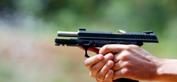 Paraná vai votar lei para facilitar porte de armas para atiradores e colecionadores.